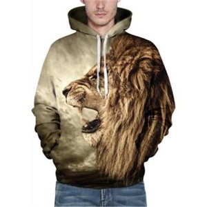 Cool 3D Lion Print Long Sleeves Men's Hoodie