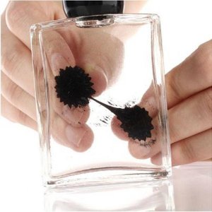 Magnetic Liquid Display Awesome Science Novelty Toy